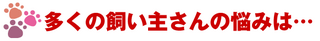 0221kainushi.png